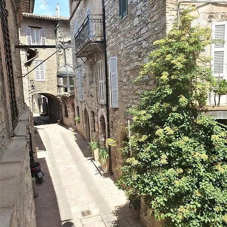 Palazzo Calocci In Assisi