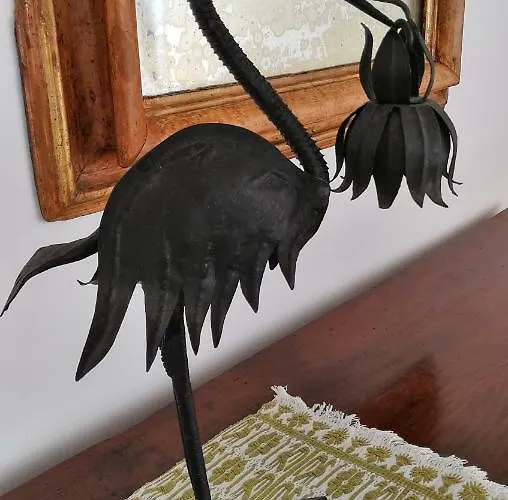 Palazzo Calocci In * 아시시